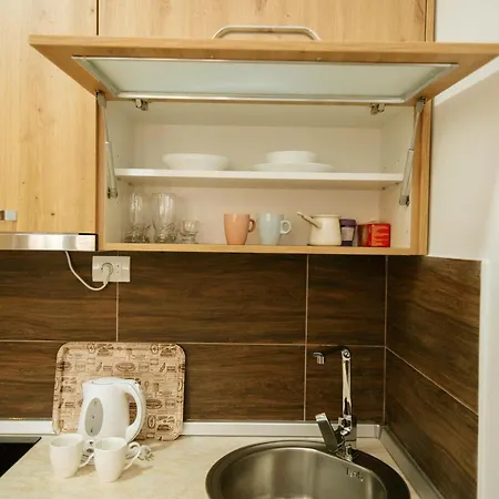 Apartamento Kostic Kraljev *