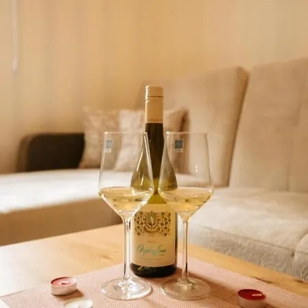 Kostic Kraljev Apartamento *